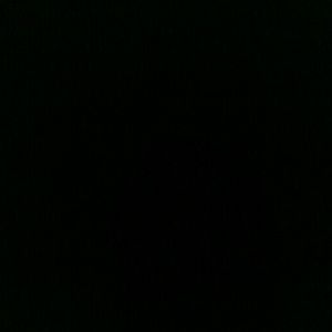 Meet your Posher, Roger